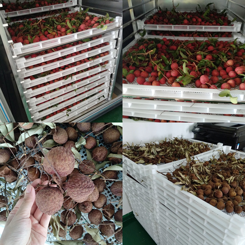 Bagaimana cara mengeringkan Lychee atau buah plum lainnya?