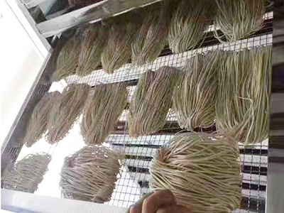 Mesin Pengering Pasta