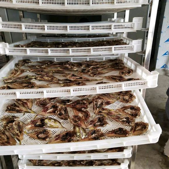 695a1a03d09b43e1a67a9b5a208c4d78