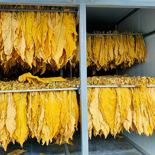 微信图片_20220210091935