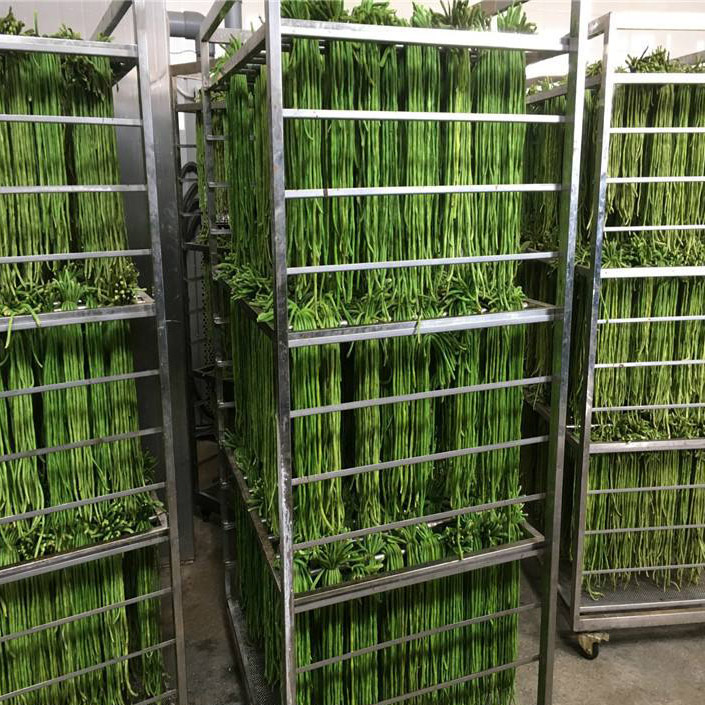 28e437d13e5fa0da7784c379930dcdd